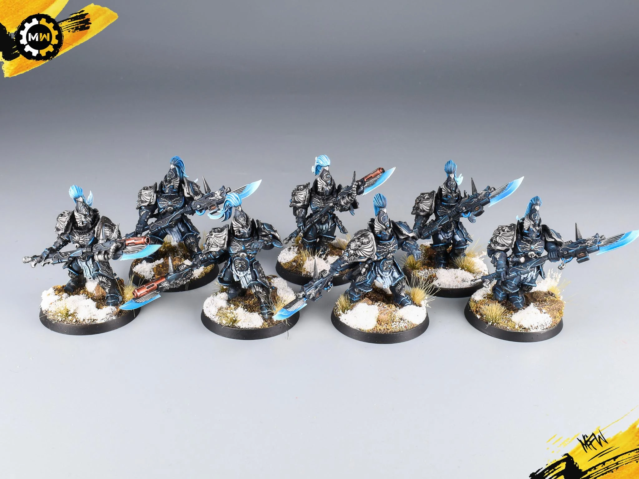 Black and Blue Adeptus Custodes